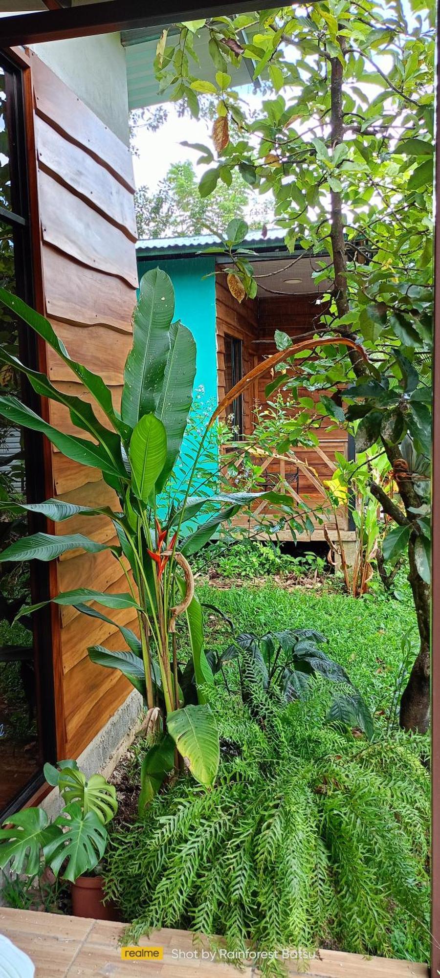 Bungalow Batsu La Fortuna Zewnętrze zdjęcie